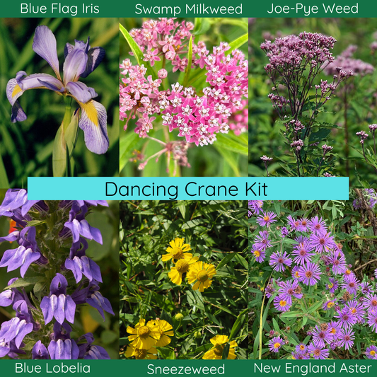 Dancing Crane Garden Kit