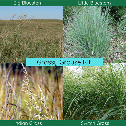 Grassy Grouse Garden Kit